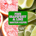 Agua de Madre - Pink Grapefruit & Lime Water Kefir